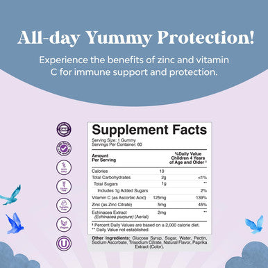 Natures Craft Kids Immunity Support Gummies - Delicious Vitamin C with Zinc and Echinacea Immune Booster Gummies for Kids - Vegan Gluten and Gelatin Chewable Gummy Vitamin Supplement for Children
