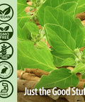 Nature'S Answer Ashwagandha Root with Holy Basil 60 Capsules | Supports a Healthy Response to Stress | Calm. Relax and Unwind. | Gluten | Non-GMO | Kosher | Vegan | Vegetarian