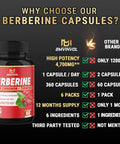 6 Packs Berberine Supplement 4700mg 12 Months Supply High Potency with Ceylon Cinnamon Turmeric Curcumin Cardiovascular Gastrointestinal Immune Support Berberine HCl Supplement Pills