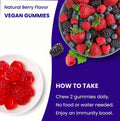 Elderberry Gummies Sambucus Elderberry Gummies For Adults & Kids Vitamin C Propolis & Echinacea Max Strength Immune Support Gummies Natural Berry Flavor 120 Gummies (2 Pack)