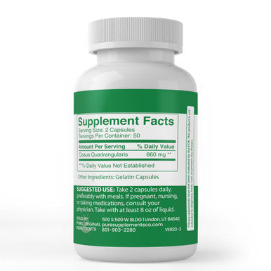 PURE ORIGINAL INGREDIENTS Cissus Quadrangularis, (100 Capsules) Always Pure, No Additives Or Fillers, Lab Verified