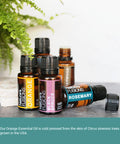 Nature s Fusions Orange (Sweet) 100% Pure and Essential Oils 15 mL