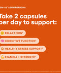 Ksm-66 Ashwagandha Root Powder Extract - Stress, Mood, & Athletic Support - 1,000 Mg Of Clinically Studied Ksm66 & Black Pepper For Maximum Absorption - 5% Withanolides - 60 Vegan Capsules
