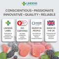 Lindens Vitamin B6 100mg Tablets - 100 Pack - Ultra-Potent 7000% Nrv Dose Contributes to Healthy Metabolism