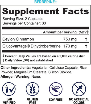 Extra Strength Berberine with Ceylon Cinnamon Vitauthority High Absorption Dihydroberberine Berberine Supplement for Balance and Support Vegan Powerful AMPk Metabolic Activator 30 Servings