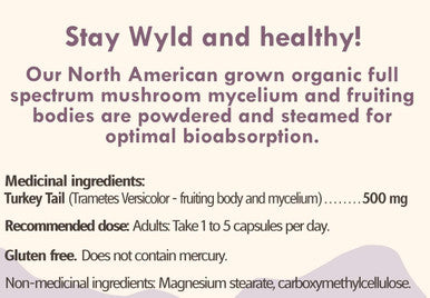 Stay Wyld Organics Turkey Tail Mushroom Vegan Capsule Supplement - Immune & Gut Health Support, Antioxidant & Vitamin D Source, Energy Booster - Perfect for Adult Women & Men | (60 Capsules)