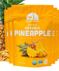 Mavuno Harvest Organic Dried Fruit Variety Pack | Dried Mango, Papaya, Pineapple, Banana, Jackfruit, & Tropical Mix | Healthy, Vegan, No Sugar Added, Non GMO Snacks for Kids & Adults | 2 Ounce, 6 Pack