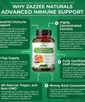 Zazzee Advanced Immune Support, 1300 mg per Tablet, 30 Day Supply, with 1000 mg Vitamin C, Zinc, 1000 mg Strength Echinacea, 1000 mg Strength Elderberry and 200 mg Strength Goldenseal, All-Natural