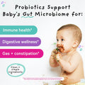 Pink Stork Baby Probiotic Drops born Infant & Toddler Probiotics to Help Aid Digestion and Constipation Support born Essentials - 1 fl oz 2 Month Supply