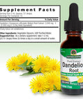Nature'S Answer Alcohol Dandelion Root 2000mg 1oz Extract | Promotes Overall Well-Being | Immune Support | Cleanses and Detoxes | Gluten- Non-GMO Vegan | Single Count