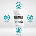 2 Pack Creatine Monohydrate Powder 300 Grams (10.6oz), Unflavored | Pure | Micronized Creatine Powder, 5000mg Per Serving, 2 Month Supply, Vegan | Keto, Non-GMO, No Filler, No Additives - 60 Servings