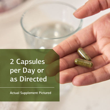 Standard Process Catalyn With Iron - Whole Food Energy, Vitality, And Antioxidant Support With Riboflavin, Vitamin B6, Thiamine