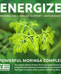 Moringa Capsules 5000mg Blend NonGMO The Herbal Equivalent of 5000mg Moringa Oleifera Powder Extract Complex from Seeds Leaf Fruit Green Vegetarian Supplement 60 Count No Oil or Tea