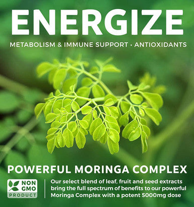 Moringa Capsules 5000mg Blend NonGMO The Herbal Equivalent of 5000mg Moringa Oleifera Powder Extract Complex from Seeds Leaf Fruit Green Vegetarian Supplement 60 Count No Oil or Tea