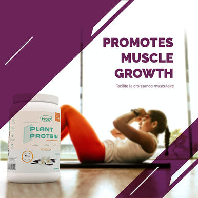 VORST Plant Protein with Multivitamins 900g | 45 Servings Vanilla Flavored Vegan Protein Powder Lactose-Free & Dairy Free | Pea Protein Isolate | 1 Jar