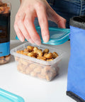 Honey Roasted Cashews - 32 oz Reusable Container | Gourmet Nuts Coated with Sweet & Natural Honey | Roasted to Perfection | Healthy Everyday Snack | Vegan | Kosher | Hand-Picked | Sweet & Crunchy