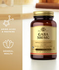 Solgar Gaba 500 Mg - 50 Vegetable Capsules