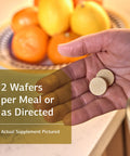 Standard Process Zymex Wafers Whole Food Digestion & Digestive Health