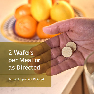 Standard Process Zymex Wafers Whole Food Digestion & Digestive Health