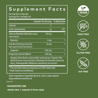 Gaia Herbs Adrenal Health Daily Support - with Ashwagan, Holy Basil & Schisandra - Herbal Supplement to Help Maintain Healthy Energy and Levels - 120 Liquid Phyto-Capsules (120 Count)