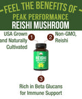 Reishi Mushroom Capsules | Usa Grown Made With Reishi Mushroom Supplement In Vegan Capsules | Support Brain, Energy, And Immune