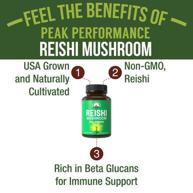 Reishi Mushroom Capsules | Usa Grown Made With Reishi Mushroom Supplement In Vegan Capsules | Support Brain, Energy, And Immune