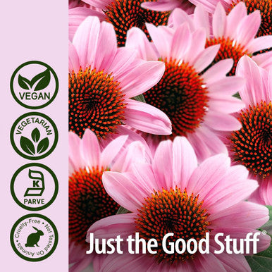 Nature'S Answer Echinacea Purpurea Herb Vegetarian Vegan 900 mg 90 Capsules Non GMO Gluten