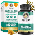 TrueSeaMoss Raw Gold Irish Sea Moss ÃƒÂ¢Ã¢â€šÂ¬Ã¢â‚¬Å“ Premium Wildcrafted & Sun-Dried Seaweed ÃƒÂ¢Ã¢â€šÂ¬Ã¢â‚¬Å“ Extra Dry Texture, Vegan, Non-GMO, Gluten-Free ÃƒÂ¢Ã¢â€šÂ¬Ã¢â‚¬Å“ 16oz (1 lb) Makes Up to 200oz Gel ÃƒÂ¢Ã¢â€šÂ¬Ã¢â‚¬Å“ Atlantic Harvested