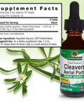 Nature'S Answer Cleavers 2000mg