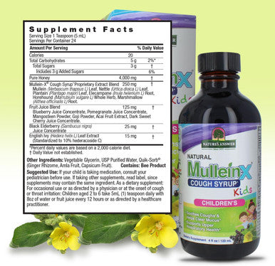 Nature'S Answer Mullein X Kids Cough Syrup 4 Ounce - Soothes Coughs Clears Mucus Respiratory & Lung Support Non GMO Gluten Non Drowsy Mucus Relief - Natural Honey Flavor