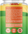Bundle of Gummy Vitamins for Kids Immune Support and Sambucus Elderberry Gummies Kids Vitamins - Provides Bone Health - Boost Immune System and Brain Activity - 90 Herbal Yummy Chewable Gummies