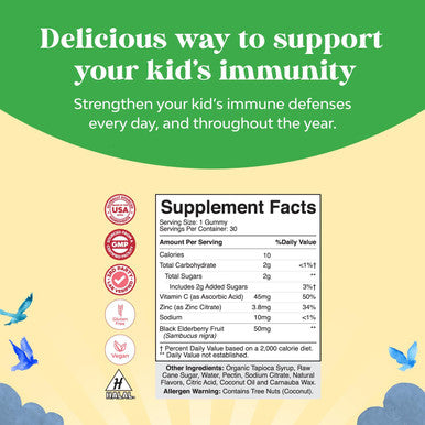 Kids Elderberry Gummies With Zinc And Vitamin C - Delicious Sambucus Black Elderberry Gummies For Kids Immune Support - Daily Kids Immunity Support Gummies Vegan Non-Gmo Gluten And Gelatin Free