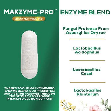 Nature'S Nutrition Digestive Enzymes with Probiotics - Probiotic Multi Enzymes with Probiotics and Prebiotics for Digestive Health and Bloating Relief for Women and Men Daily Enzymes for Gut & Digestion - 120 Capsules
