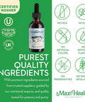 Maxi Health Raspberry Liquid Vitamin B Complex - Supplement with Vitamin B12 - Sublingual B Drops for Kids with B1 B2 B3 B5 B6 Biotin Folic Acid - for Energy & Brain Function 2 fl. oz. w/Red Pillbox