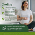 MegaFood Baby & Me 2 Prenatal Vitamin And Minerals - Vitamins For Women - With Folate (Folic Acid Natural Form) Choline Iron Iodine And Vitamin C Vitamin D And More - 120 Tabs (60 Servings)