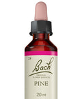 Pine ( Pin Sylvestre )