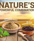 Dr. Berg's Ashwagandha with Black Pepper Supplement - Ashwagandha Capsules for Mood & Stress Support, Energy, Joint, Thyroid & Immune System - 1500mg Organic Ashwagandha Supplements - 90 Capsules