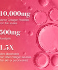 Afc Japan Tsubaki Ageless Liquid Collagen Drink For Women 10000Mg Marine Collagen Peptides 500Mg Royal Jelly Hyaluronic Acid Supports Skin Hydration & Elasticity 1.69 Fl.Oz X 10 Bottles (3Pack)