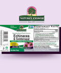 Nature'S Answer Echinacea and Goldenseal | Supports Immune System | Non-GMO Alcohol- Gluten- & Kosher 4oz Extract | Single Count