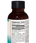 SOURCE S Wellness Elderberry Extract, 2 OZ
