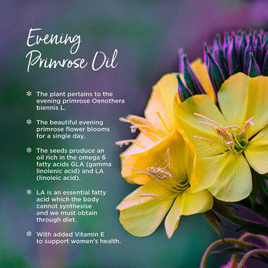 Healthspan Evening Primrose Oil 1,000mg (90 Capsules) | Omega 6 Fatty Acids | Women's Health | Added Vitamin E | Gamma Linolenic Acid & Linoleic Acid | Protects Cells from Oxidative Stress | Vegan