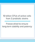 Natural Factors Acidophilus Bifidus Double Strength Probiotic and Prebiotic Formula 180 Capsules