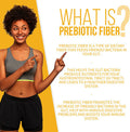 GoBiotix Prebiotic Fiber Boost Powder 3 Pack Support a Healthy Gut Digestive Regularity Ease Gas Complement for Every Probiotics Supplement GlutenFree SugarFree Keto Vegan