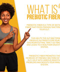 GoBiotix Prebiotic Fiber Boost Powder 2 Pack Support a Healthy Gut Digestive Regularity Ease Gas Complement for Every Probiotics Supplement GlutenFree SugarFree Keto Vegan 378g