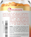 Carlyle Vitamin D3 K2 Gummies | 90 Count | 5000 IU of D3 + 100 mcg MK7 | Vegetarian Non-GMO and Gluten Vitamin Supplement
