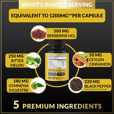 Berberine HCl Supplement 1200mg with Ceylon Cinnamon Bitter Melon Gymnema Sylvestre Extract Supports Immune System