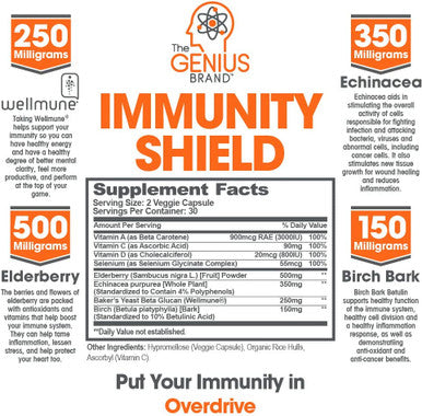 Immune Support Supplement w/ Elderberry Extract Vitamin C Ecea Daily Immunity Booster for Adults Boost Healthy Stress Response Plus Respiratory System Defense 60 Capsules/Pills