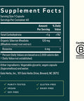 Gaia Herbs Rhodiola Rosea 60 Capsules