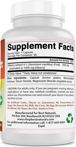 Best Naturals Bilberry 1000 Mg 90 Capsules (90 Count (Pack of 3))