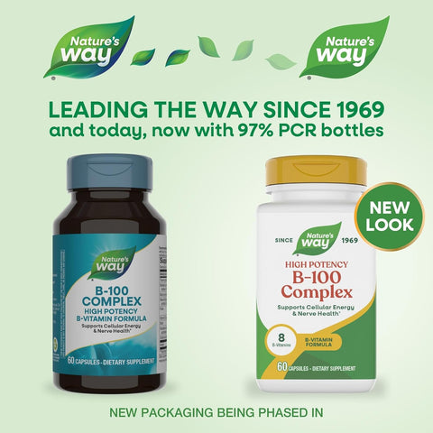 NatureS Way B100 Complex Supports Cellular Energy And Nerve Health 8 BVitamins 60 Capsules (Packaging May Vary)